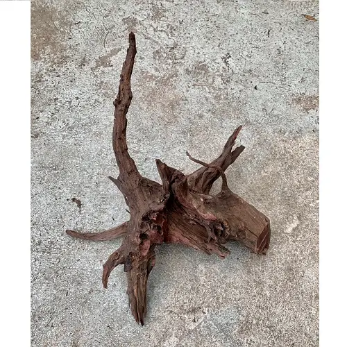 Driftwood groß (50-60cm) galerij