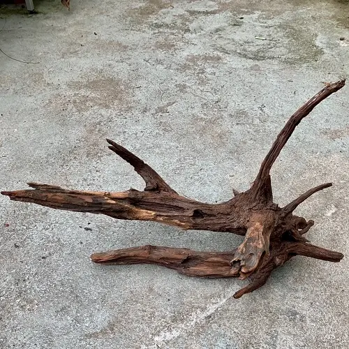 Driftwood groß (50-60cm)