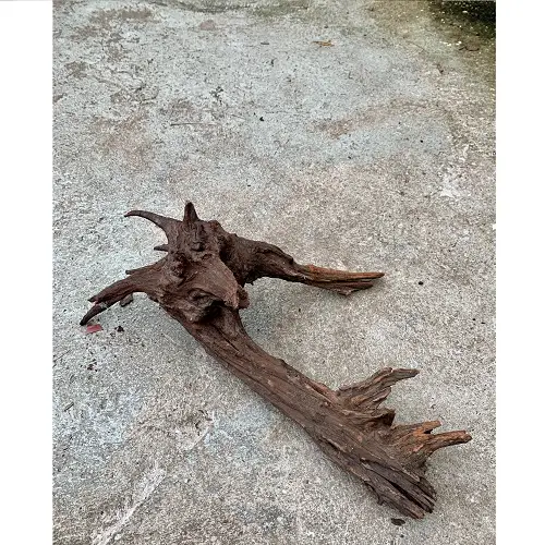 Driftwood mittel (30-40cm) galerij