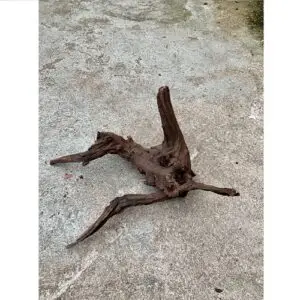 Driftwood mittel (30-40cm)