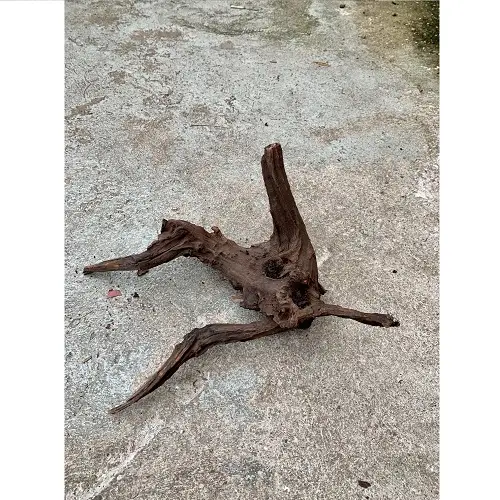 Driftwood mittel (30-40cm)