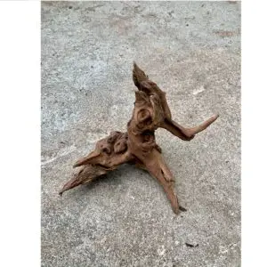 Driftwood klein (20-30cm)