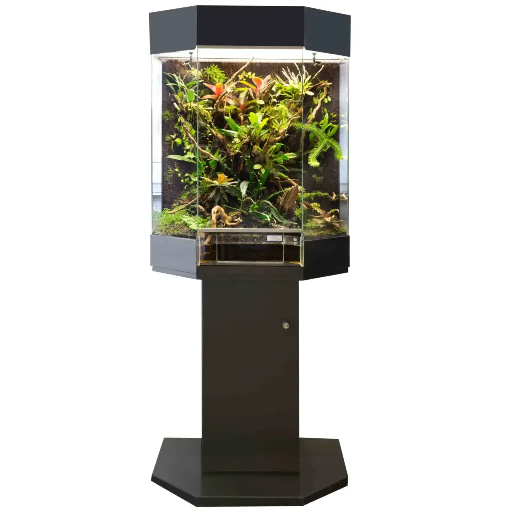 RANA Panorama Orchideenterrarium 60x45x80cm schwarz