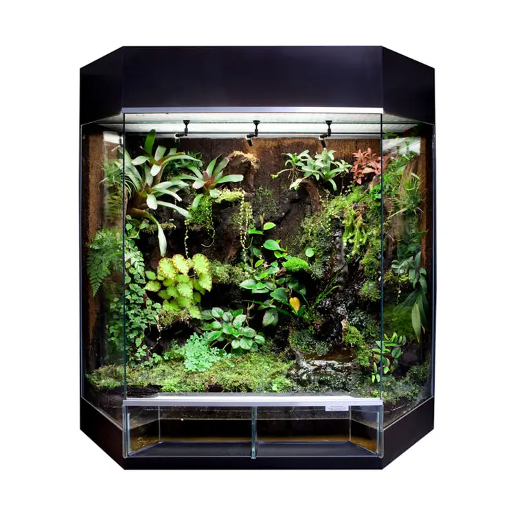 RANA Panorama-Showterrarium Rainforest 80x50x80cm schwarz