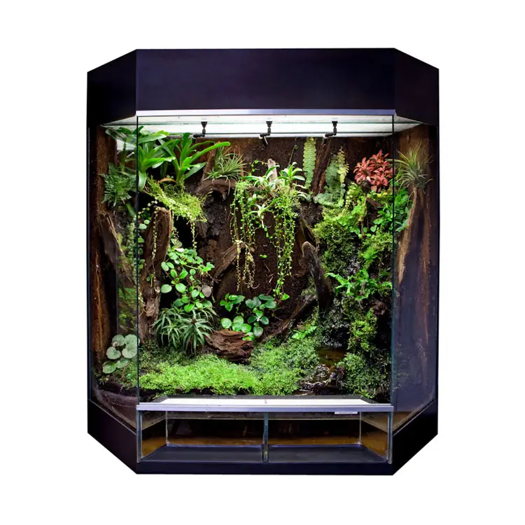 RANA Panorama-Showterrarium Rainforest 80x50x80cm schwarz galerij