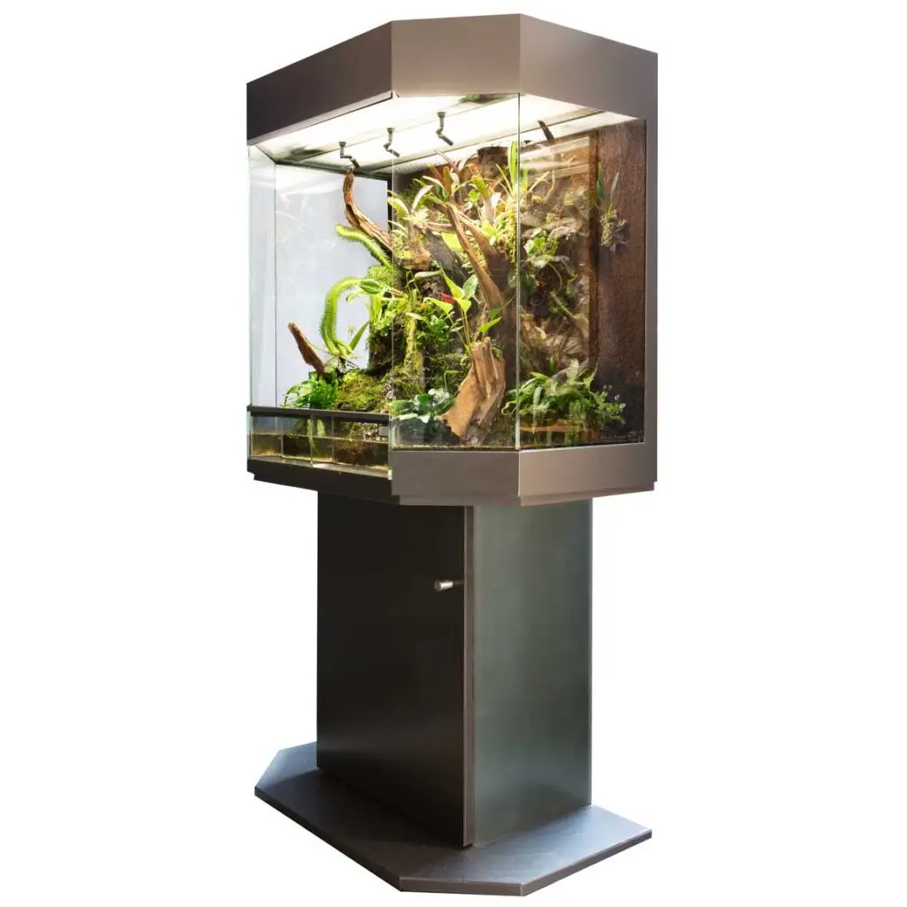 RANA Panorama Orchideenterrarium 80x50x80cm schwarz