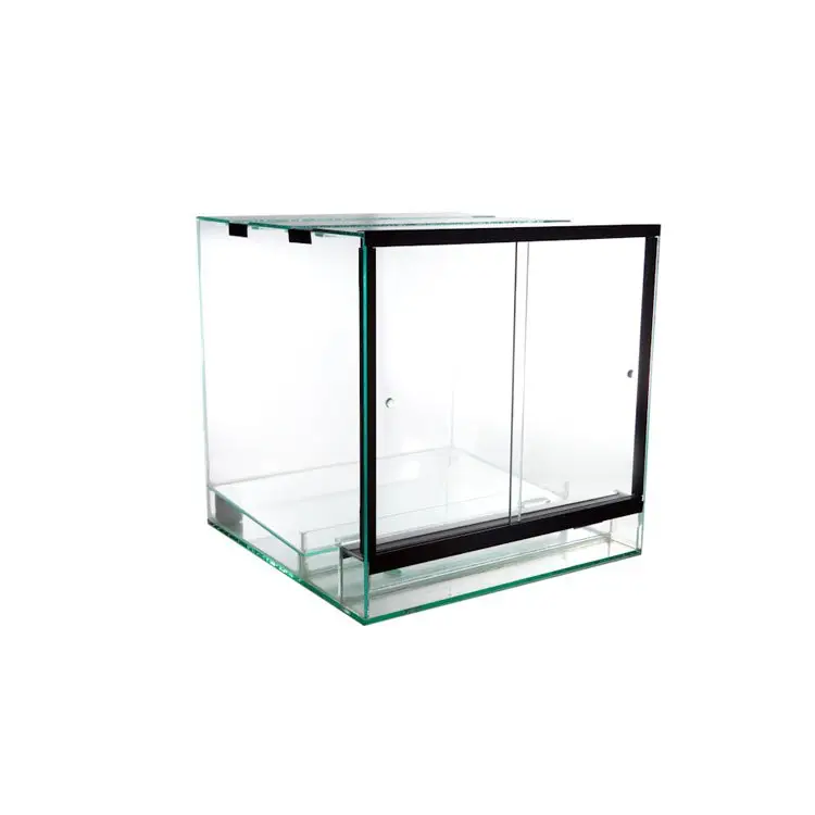 RANA Dendrobaten-Terrarium
