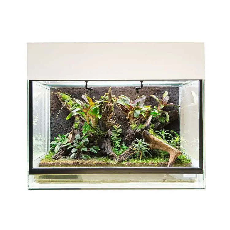 RANA Showterrarium „Starter“ 60x40x50cm galerij