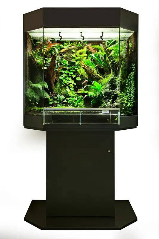 Terrarium Unterschrank für RANA Panorama Terrarium 80x50x80cm galerij
