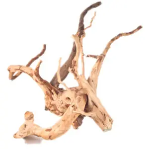 Spiderwood sandgestrahlt mittel (30-40cm)