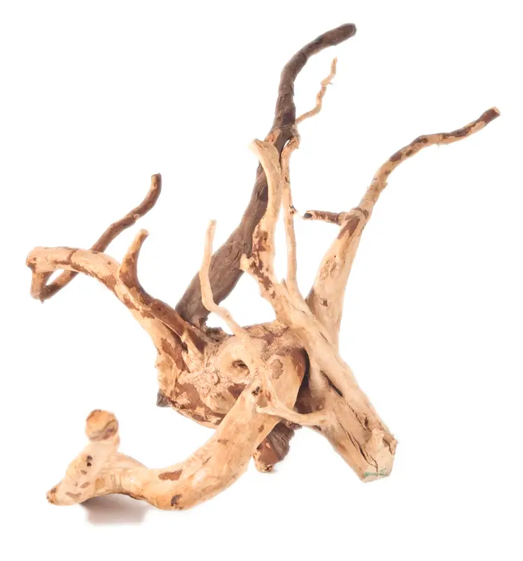 Spiderwood sandgestrahlt mittel (30-40cm)
