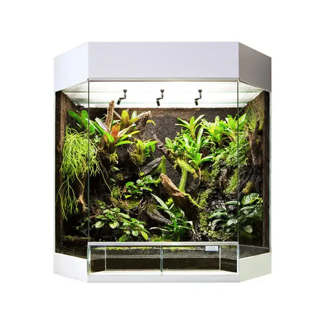RANA Panorama-Showterrarium Rainforest 80x50x80cm weiß