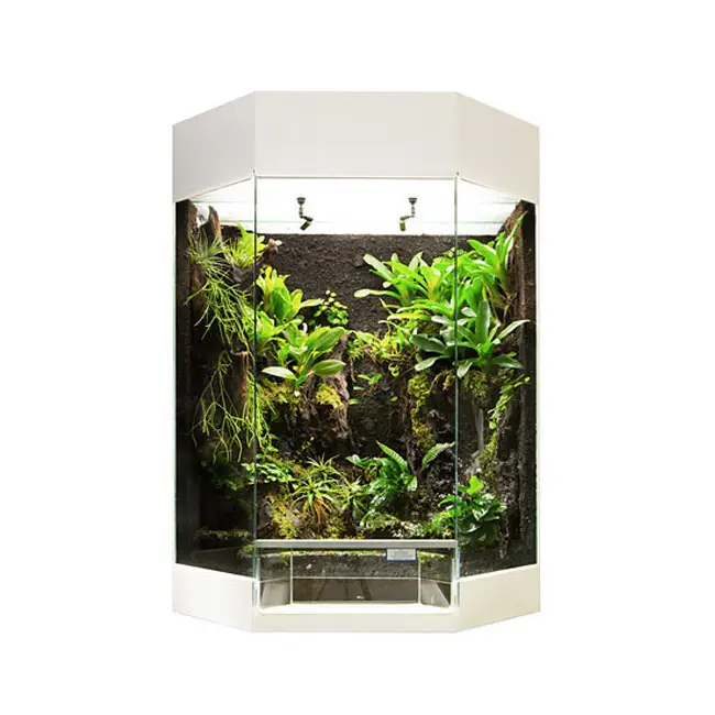 RANA Panorama-Showterrarium Rainforest 60x45x80cm weiß