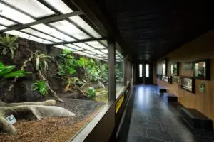 GaiaZoo5-1024x683