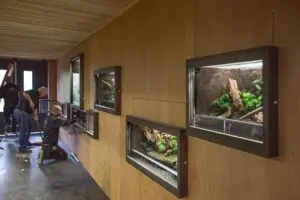 gaiazoo-2
