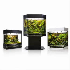 Showterrarien