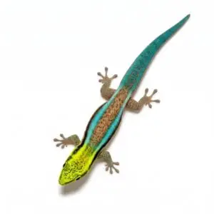 Reptilien